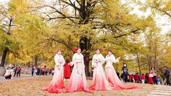 9e1a3f3dbce34dc7a11bc1c439def892